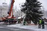 У центрі Львова встановили головну ялинку міста