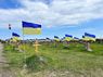 Військовослужбовця з Буковини засудили до 5 років в'язниці за наругу над могилою загиблого бійця