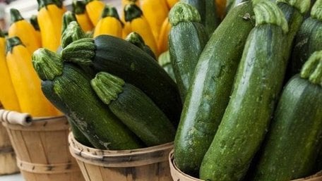 Як за допомогою кабачків знизити холестерин, рівень цукру в крові і позбутися закрепів